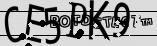 Retype the CAPTCHA code from the image