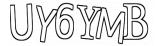 Retype the CAPTCHA code from the image